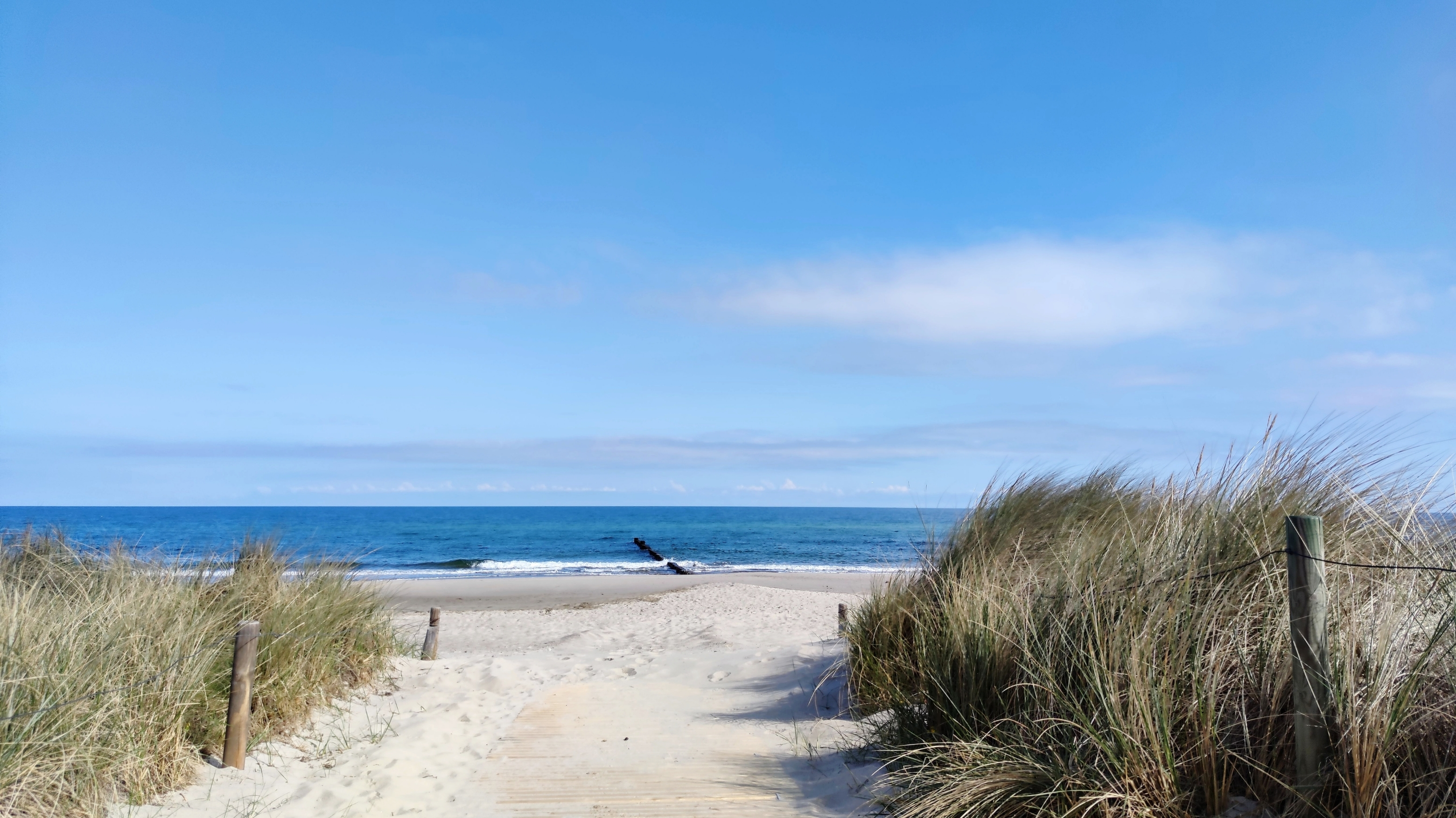Seebestattung · Beisetzung auf dem offenen Meer